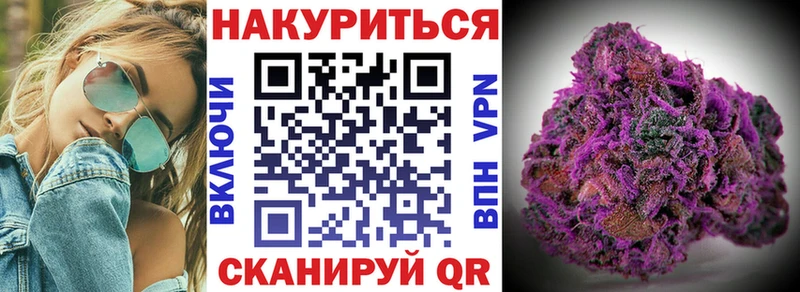 Бошки марихуана OG Kush Гудермес